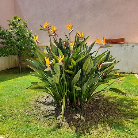 A Casa Da Avo Ana Villa Arneiro das Milharicas Luaran gambar
