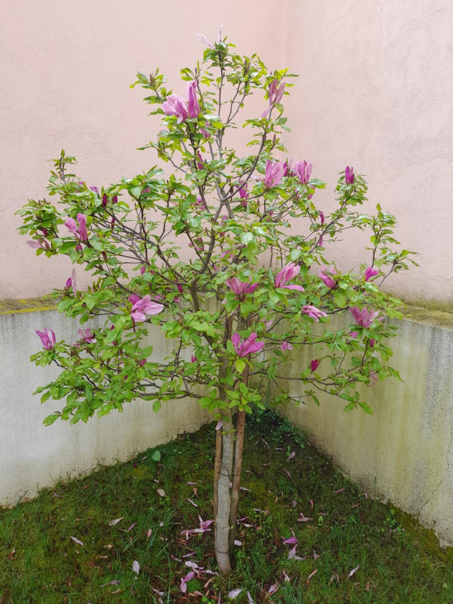 A Casa Da Avo Ana Villa Arneiro das Milharicas Luaran gambar