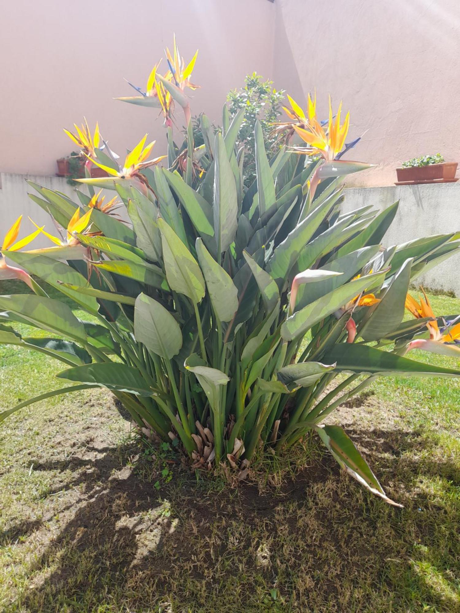 A Casa Da Avo Ana Villa Arneiro das Milharicas Luaran gambar